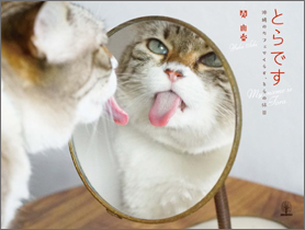 とらです ～沖縄のカフェでくらす､とらの休日～