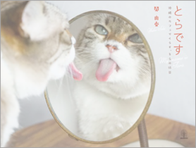 とらです ～沖縄のカフェでくらす､とらの休日～