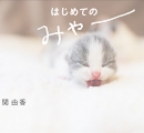 はじめての みゃー