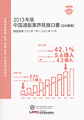 2013年版 中国通販業界発展白書（日本語版）
