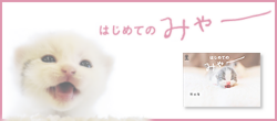 はじめてのミャー