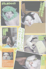 「ふじお」が週刊大衆に掲載されました