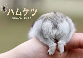 元祖 ハムケツ