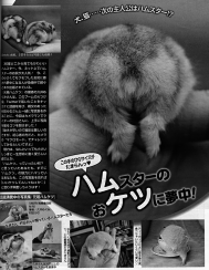 「元祖ハムケツ」が週刊女性（9月30日号）に掲載されました。