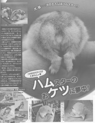 「元祖ハムケツ」が週刊女性（9月30日号）に掲載されました。