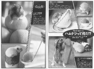 「元祖ハムケツ」週刊文春に掲載！