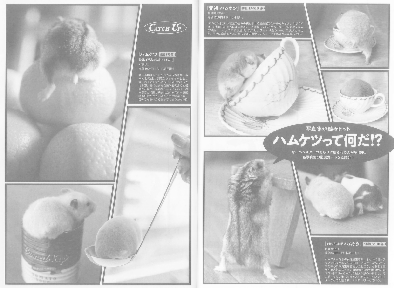 「元祖ハムケツ」週刊文春に掲載！