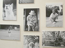 ジュンク堂書店・渋谷店にて「パネル展」が開催されました。