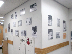 ジュンク堂書店池袋店にて「猫と陽だまりで」パネル展開催中!