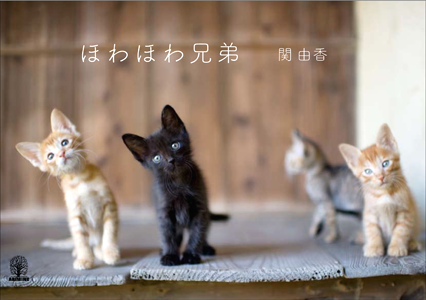 ほわほわ兄弟