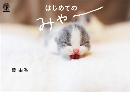 はじめての みゃー