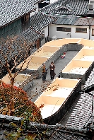 裏山から「森野旧薬園」を臨む