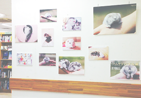 「元祖ハムケツ」パネル展開催中!!